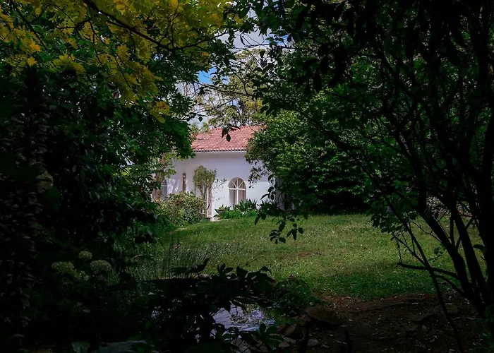 シャレー Quinta Do Griffo With Oceanview, Spa, Heated Pool