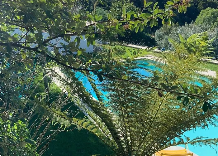 Quinta Do Griffo With Oceanview, Spa, Heated Pool シャレー コラレス