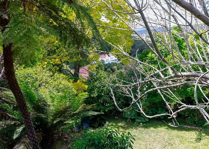 シャレー Quinta Do Griffo With Oceanview, Spa, Heated Pool