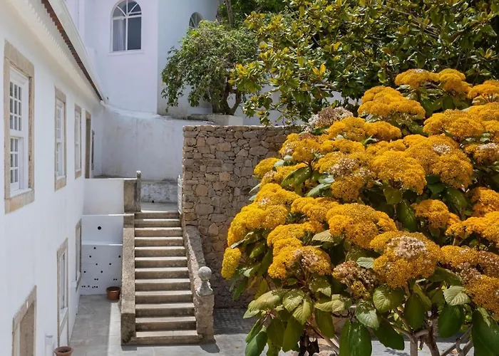 Quinta Do Griffo With Oceanview, Spa, Heated Pool *