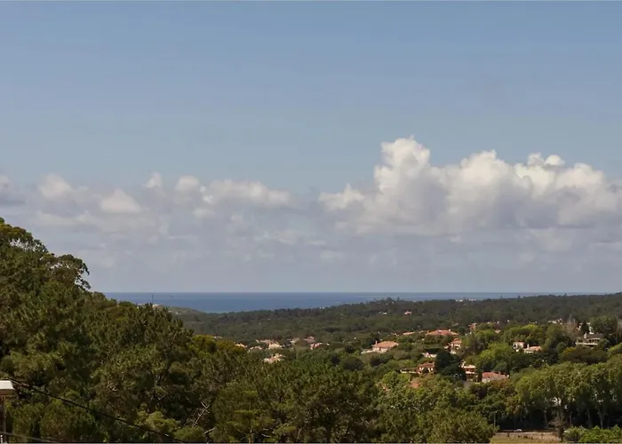 Quinta Do Griffo With Oceanview, Spa, Heated Pool *
