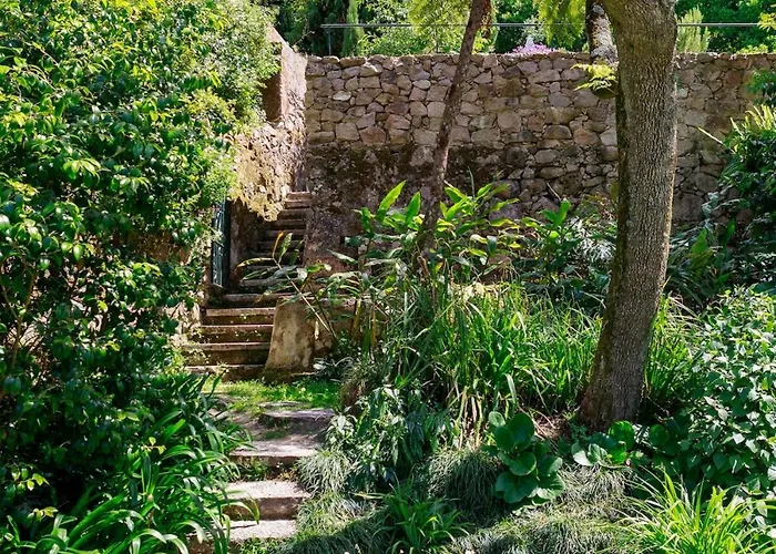 Quinta Do Griffo With Oceanview, Spa, Heated Pool * コラレス