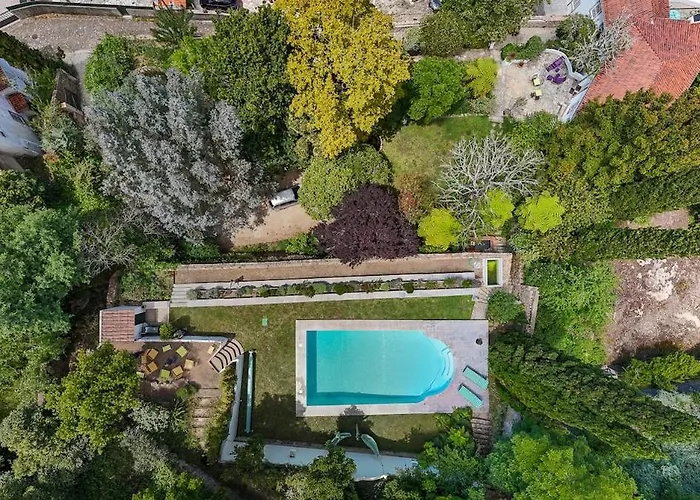 Quinta Do Griffo With Oceanview, Spa, Heated Pool シャレー
