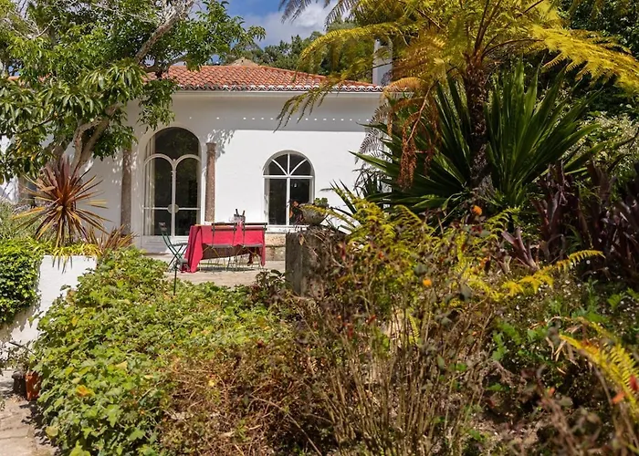 Quinta Do Griffo With Oceanview, Spa, Heated Pool コラレス