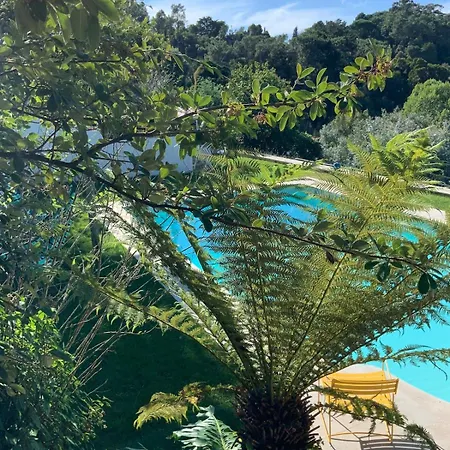 Quinta Do Griffo With Oceanview, Spa, Heated Pool Chalet Colares