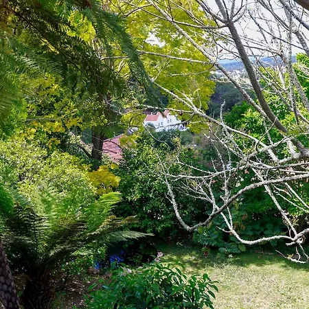 Chalet Quinta Do Griffo With Oceanview, Spa, Heated Pool