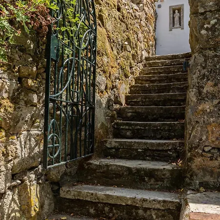 Quinta Do Griffo With Oceanview, Spa, Heated Pool