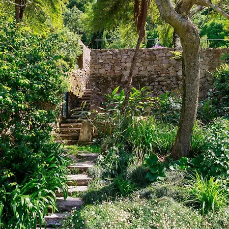 Quinta Do Griffo With Oceanview, Spa, Heated Pool * Colares