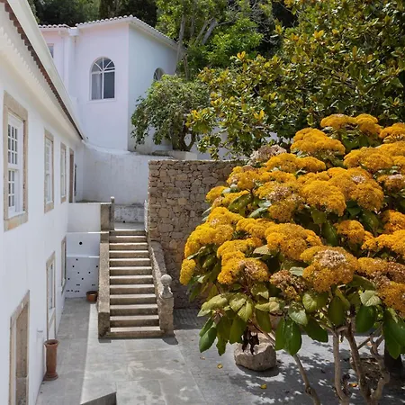 Chalet Quinta Do Griffo With Oceanview, Spa, Heated Pool