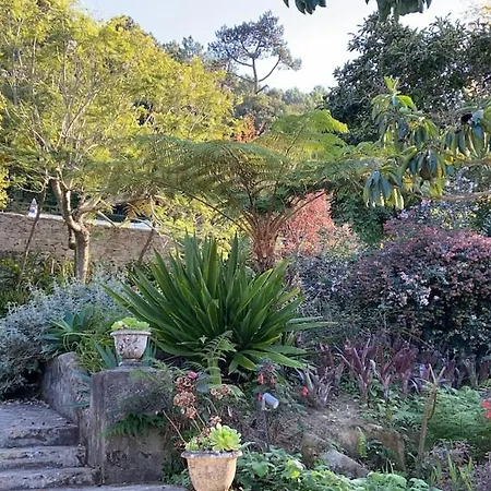 Chalet Quinta Do Griffo With Oceanview, Spa, Heated Pool