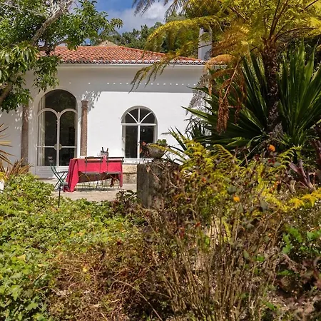 Quinta Do Griffo With Oceanview, Spa, Heated Pool Colares